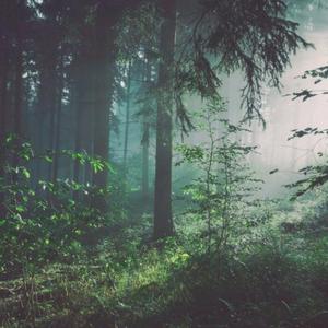 蜜臀⭐️色欲国产一区二区
